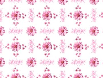 Sakura Flora 02