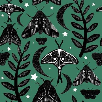 Moth Butterfly Witchy Moon Forest Night Tropical