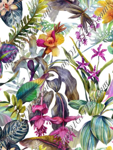 CD25315 Tropical Orchid-OK