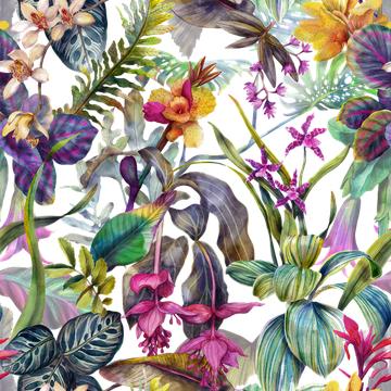 CD25315 Tropical Orchid-OK