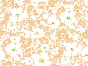 D055786 Z-102-ok 10