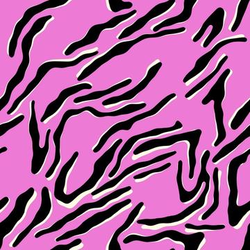 Colorful zebra animal print