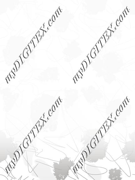 987 SS-NK-1  NEW copy 2
