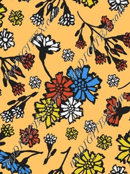 Cute colorful wildflowers