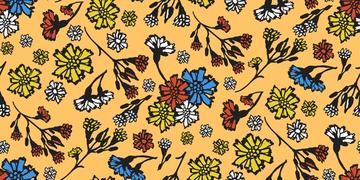 Cute colorful wildflowers