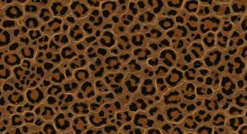 EBE 0004767