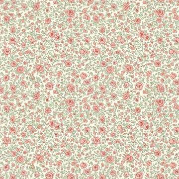 EBE 0005974