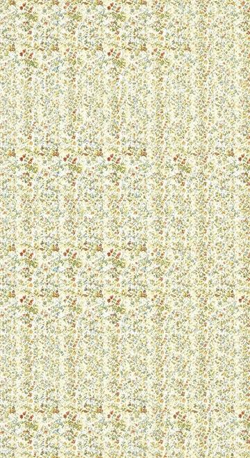 EBE 0006168