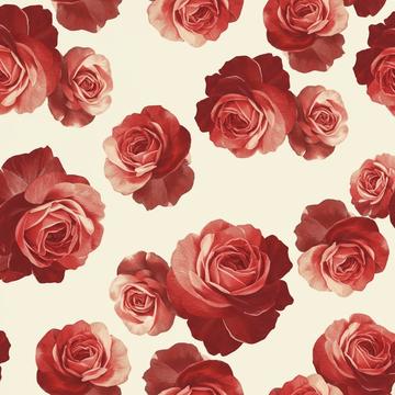 download - 2025-07-20T162141.771