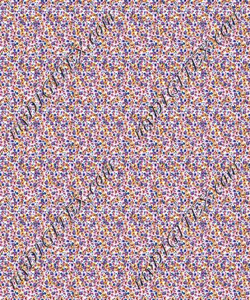 D007129