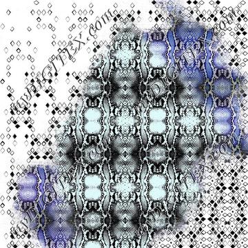 D036247