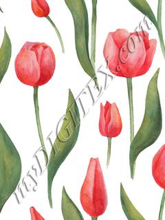 Watercolor Tulips