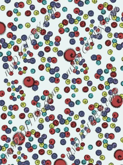 D058154B C132155ROSS copia