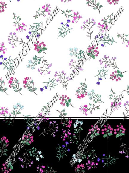 D058177 C133024sab kiu