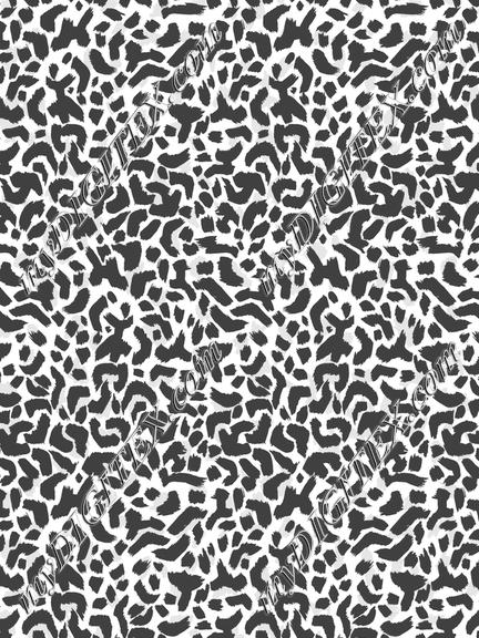 D061558 C145800KM-sara