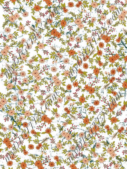 D064631 EWcad 6028HD