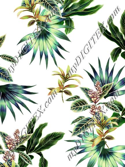 D064636 EWcad 6149 T