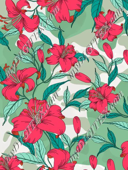 D064725 EWcad 7707HD