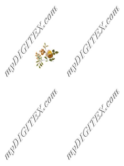 D064733 aC139618MRSlav