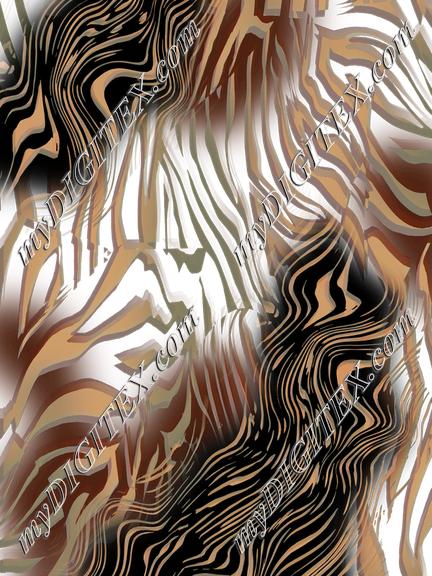 D064820 C122783ROSS ord chiara