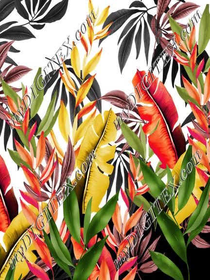 D064854 EWcad 4686LA