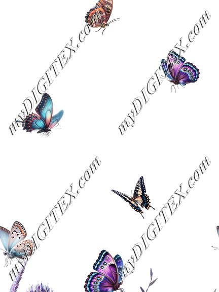 AGS0744-AGG-002_IND_MIO