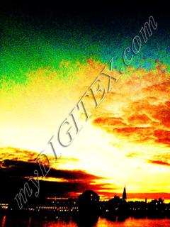 IMG_9856