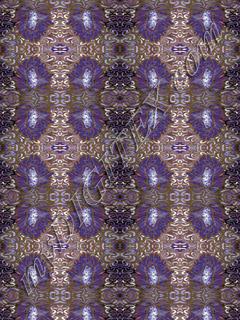 jungle fever purple