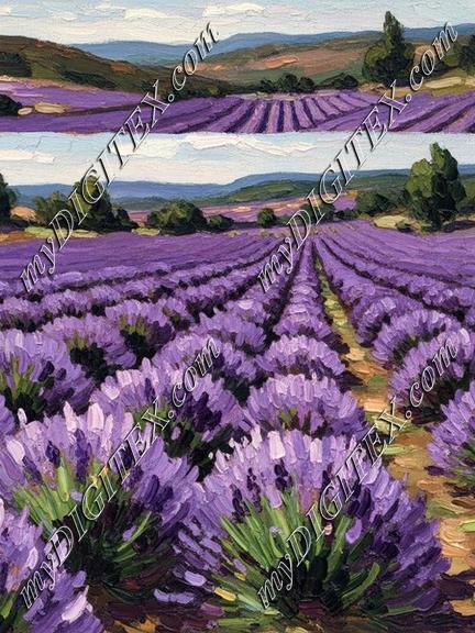 EBE 040551