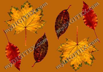 autumnleaves