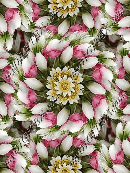 EBE 055663