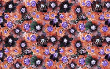 blinky bloom