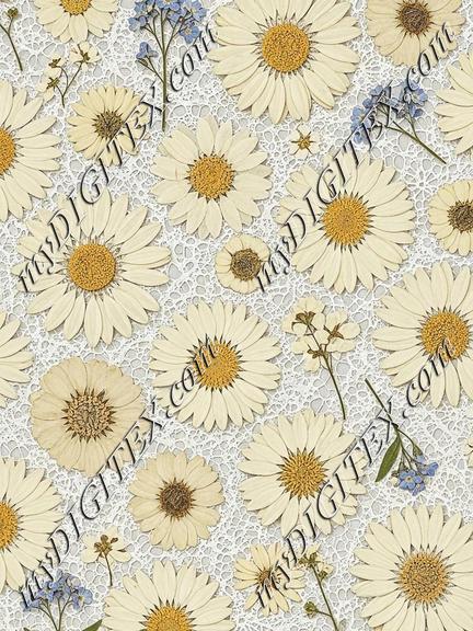 EBE 057717