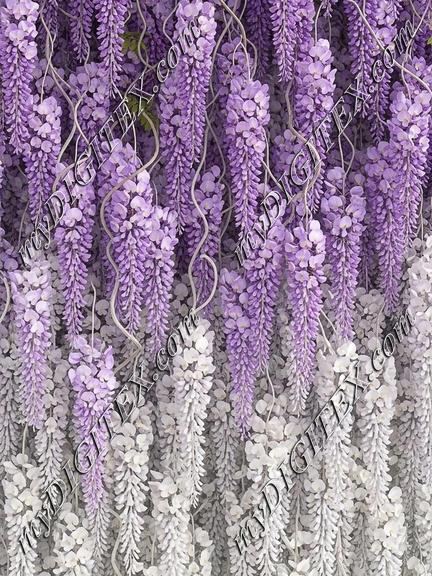 EBE 062339