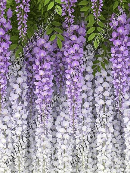 EBE 062519