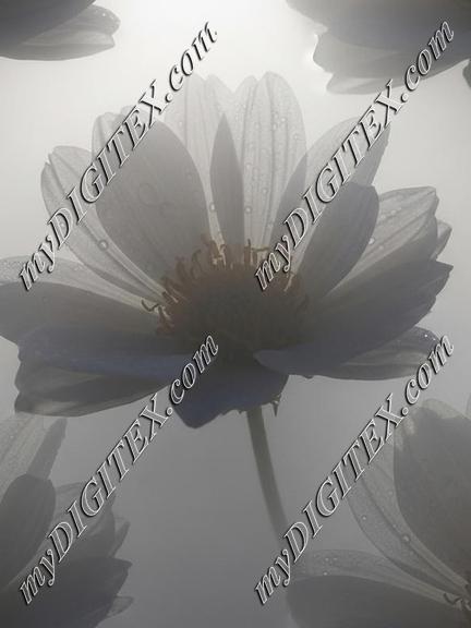 EBE 066880