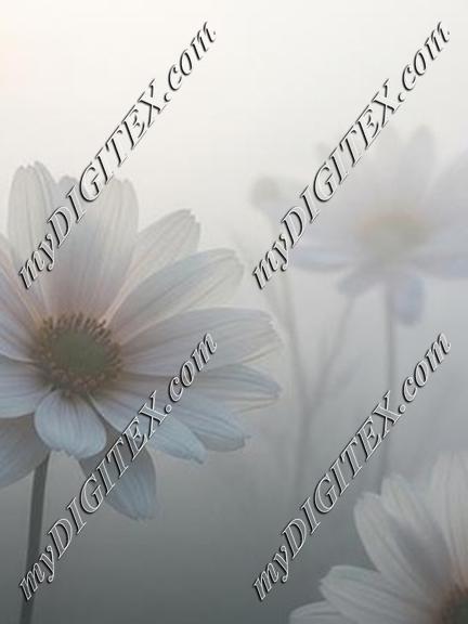 EBE 066886