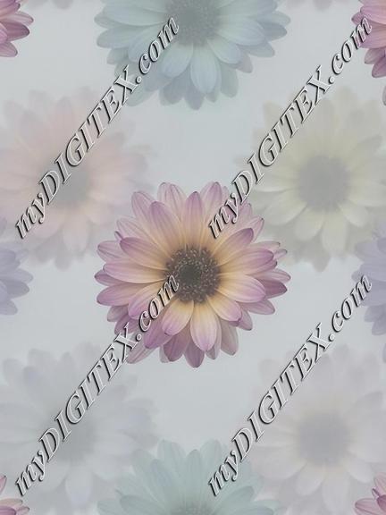 EBE 066946