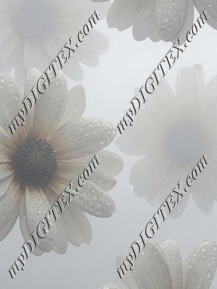 EBE 067006