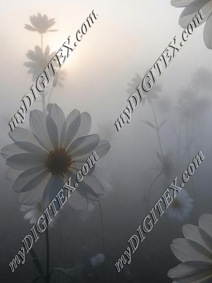 EBE 067065