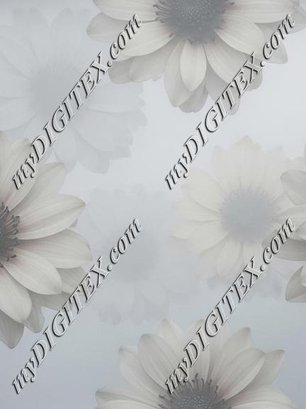 EBE 067147
