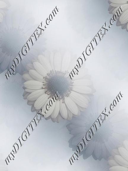 EBE 067264