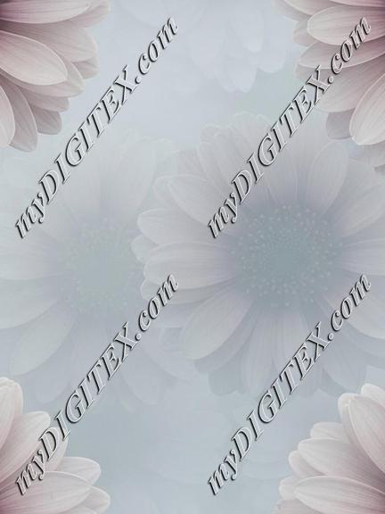 EBE 067376