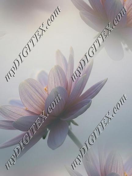 EBE 067676