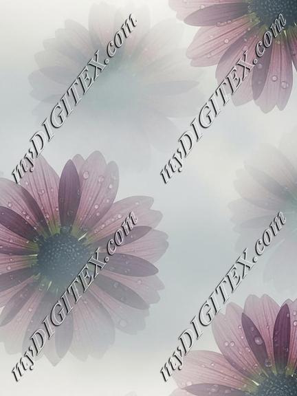 EBE 067762