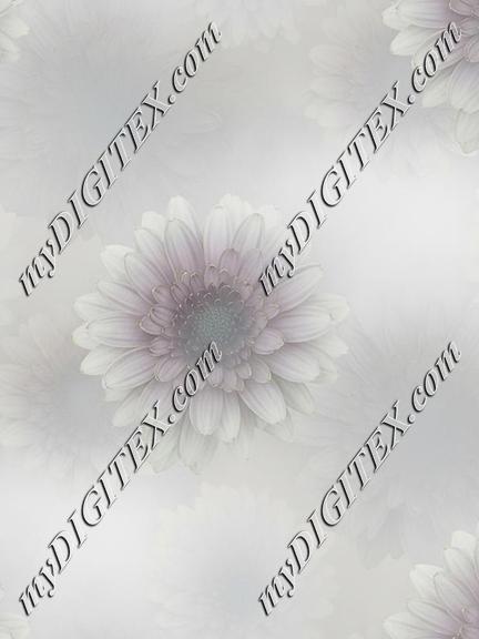EBE 067801