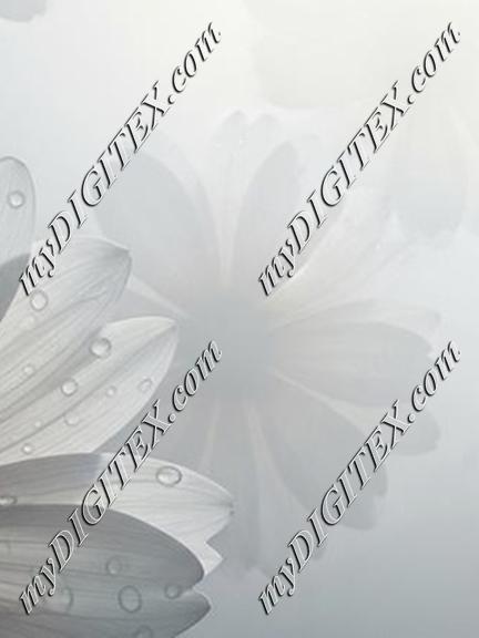 EBE 067833