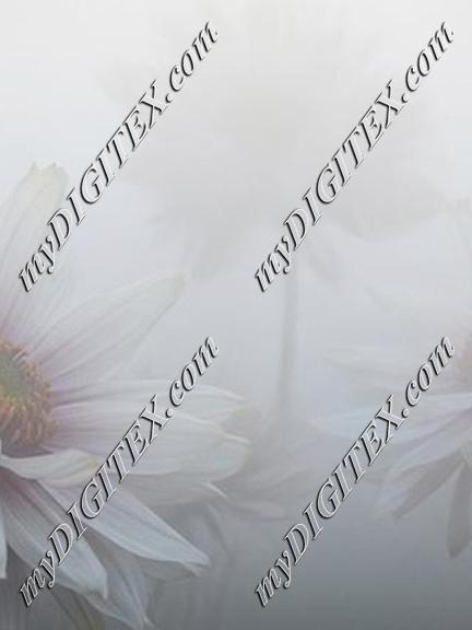 EBE 068007