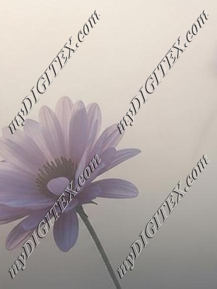 EBE 068203