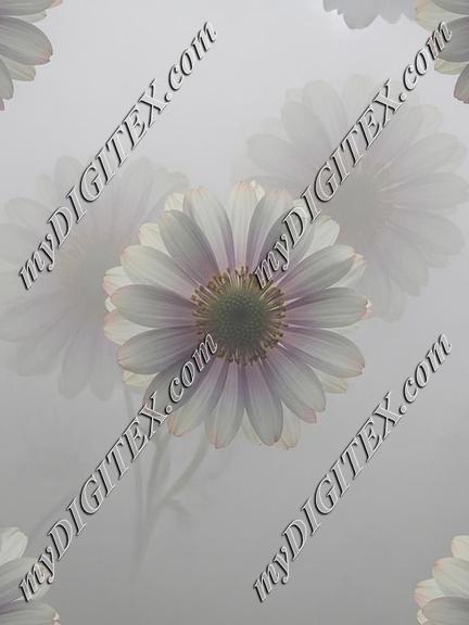EBE 068263